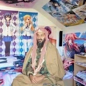 Meet your Posher, Patrick